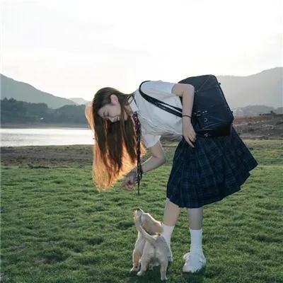 孤雁
