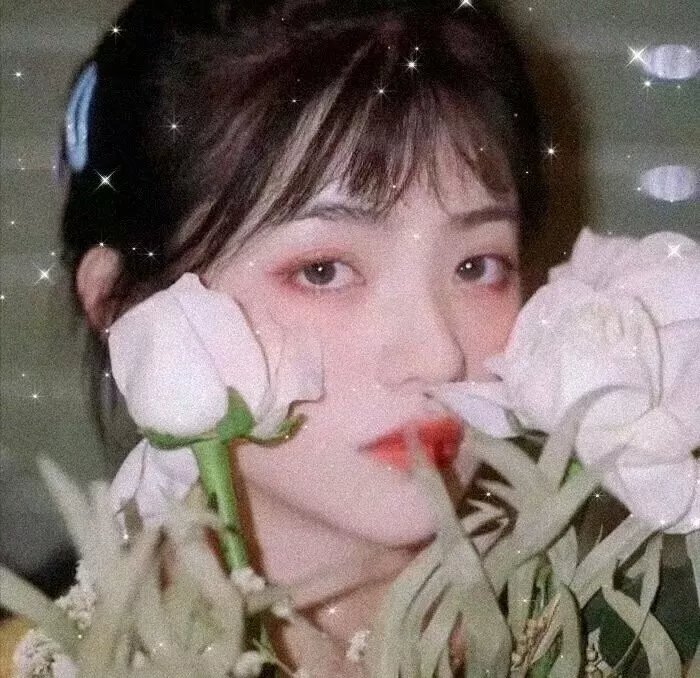 一吻存档